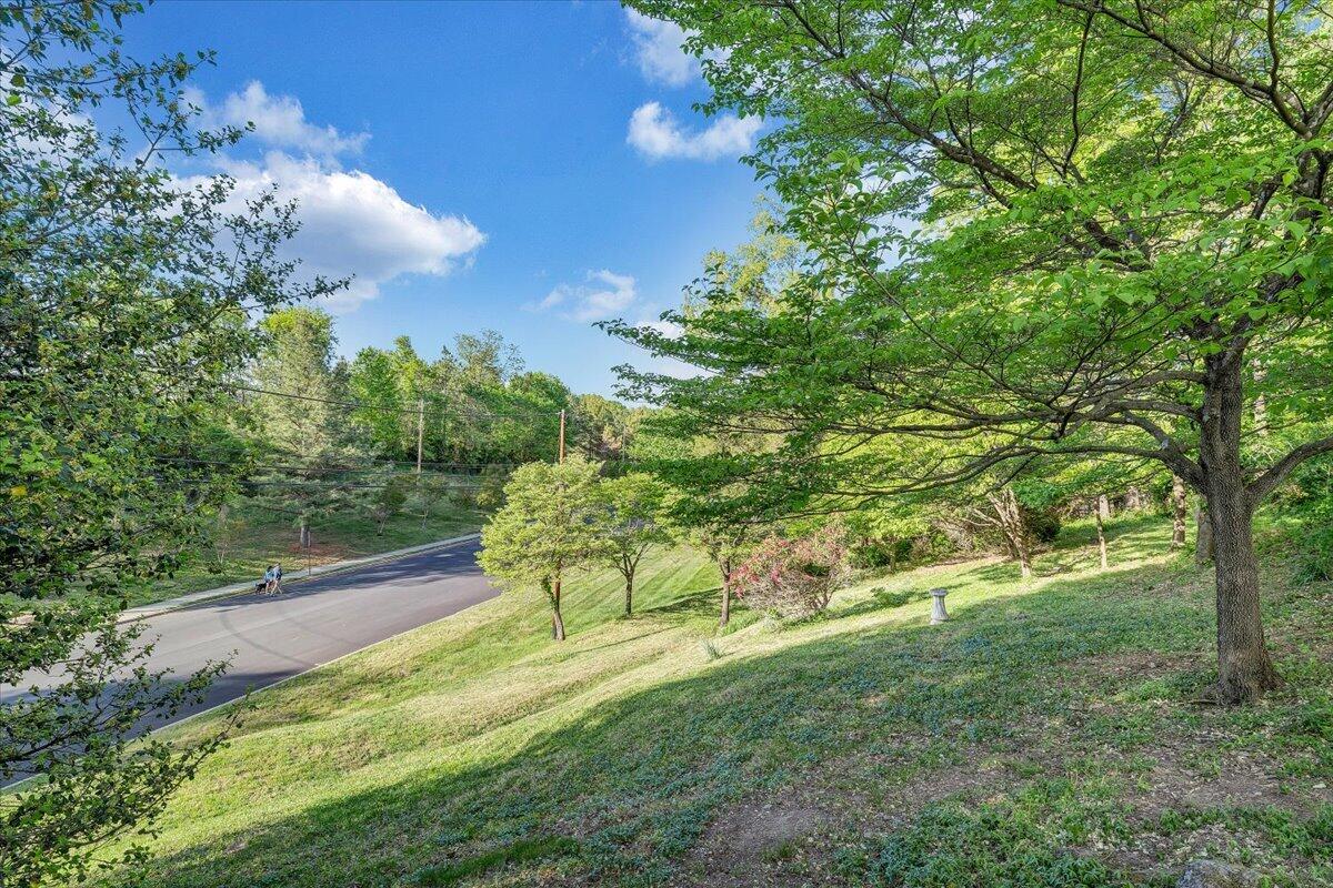 2421 Mt Vernon Road Southwest Roanoke, VA 24015 - Photo 11 of 55 43-MIB08154