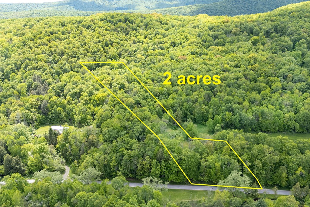 1361 Weaver Hollow Road Andes, NY 12455 - Photo 3 of 23