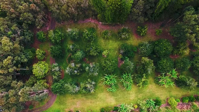 $899,000 | 94-6795 Mamalahoa Highway, Naalehu, HI 96772