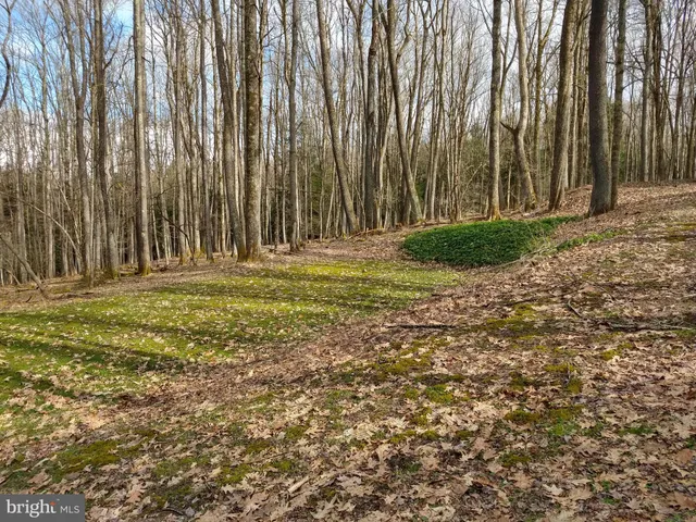 $103,040 | 222 Pine Crest Lane, Oakland, MD 21550