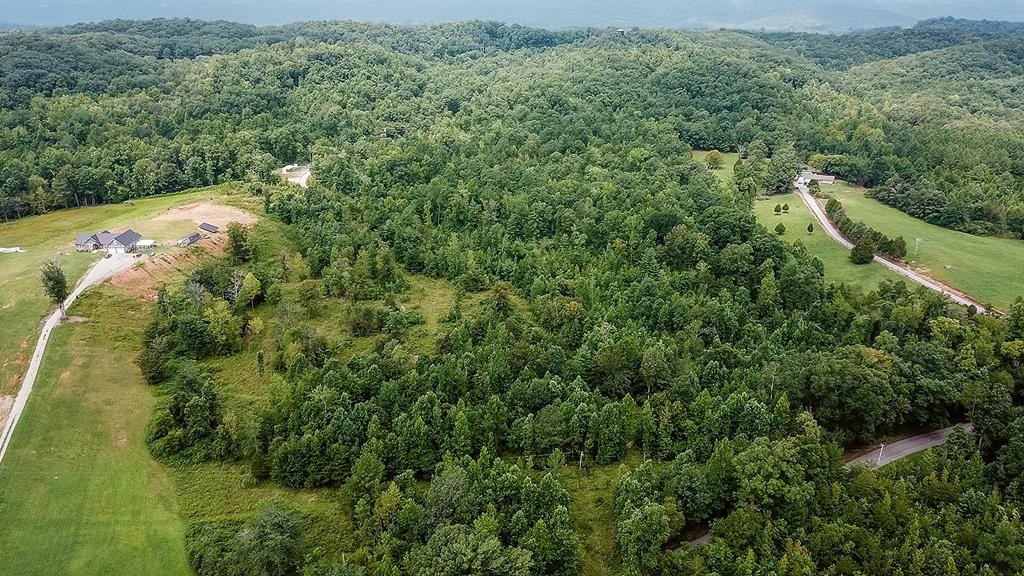 6565 Toestring Valley Road Spring City, TN 37381 - Photo 57 of 64 Gallery Image 57