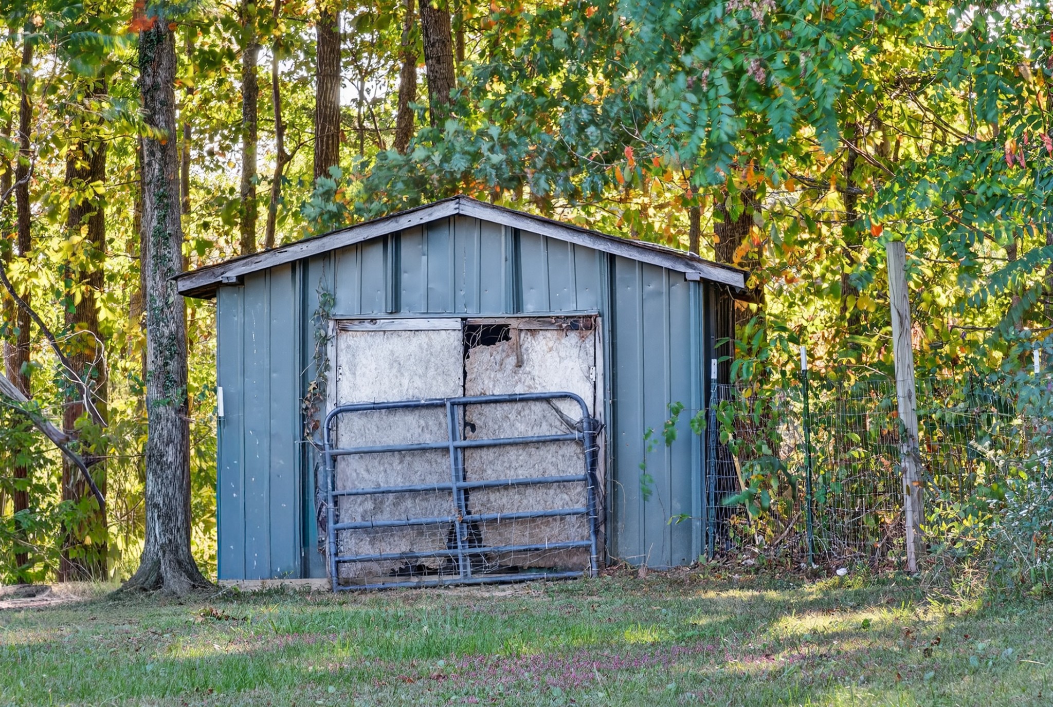 634 Pointe Lane Lafayette, TN 37083 - Photo 34 of 51 front view of a house with a small yard