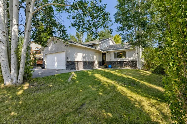 a view of a yard in front of house