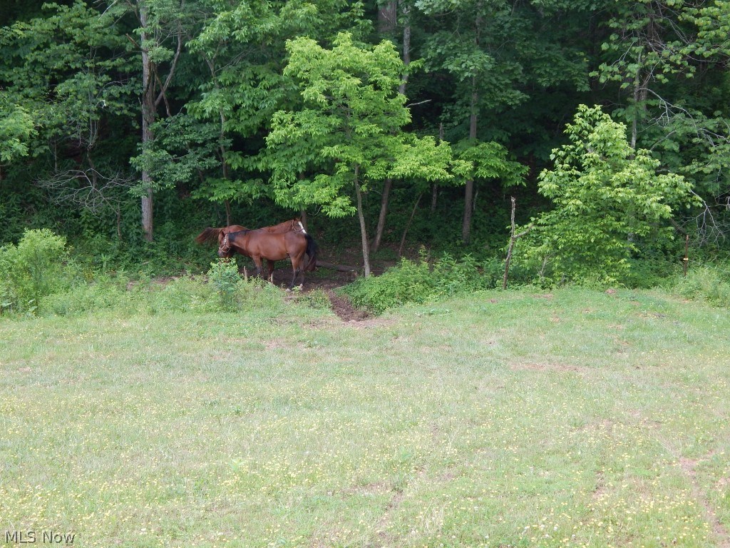 484 Trap Run Road Walker, WV 26180 - Photo 22 of 29