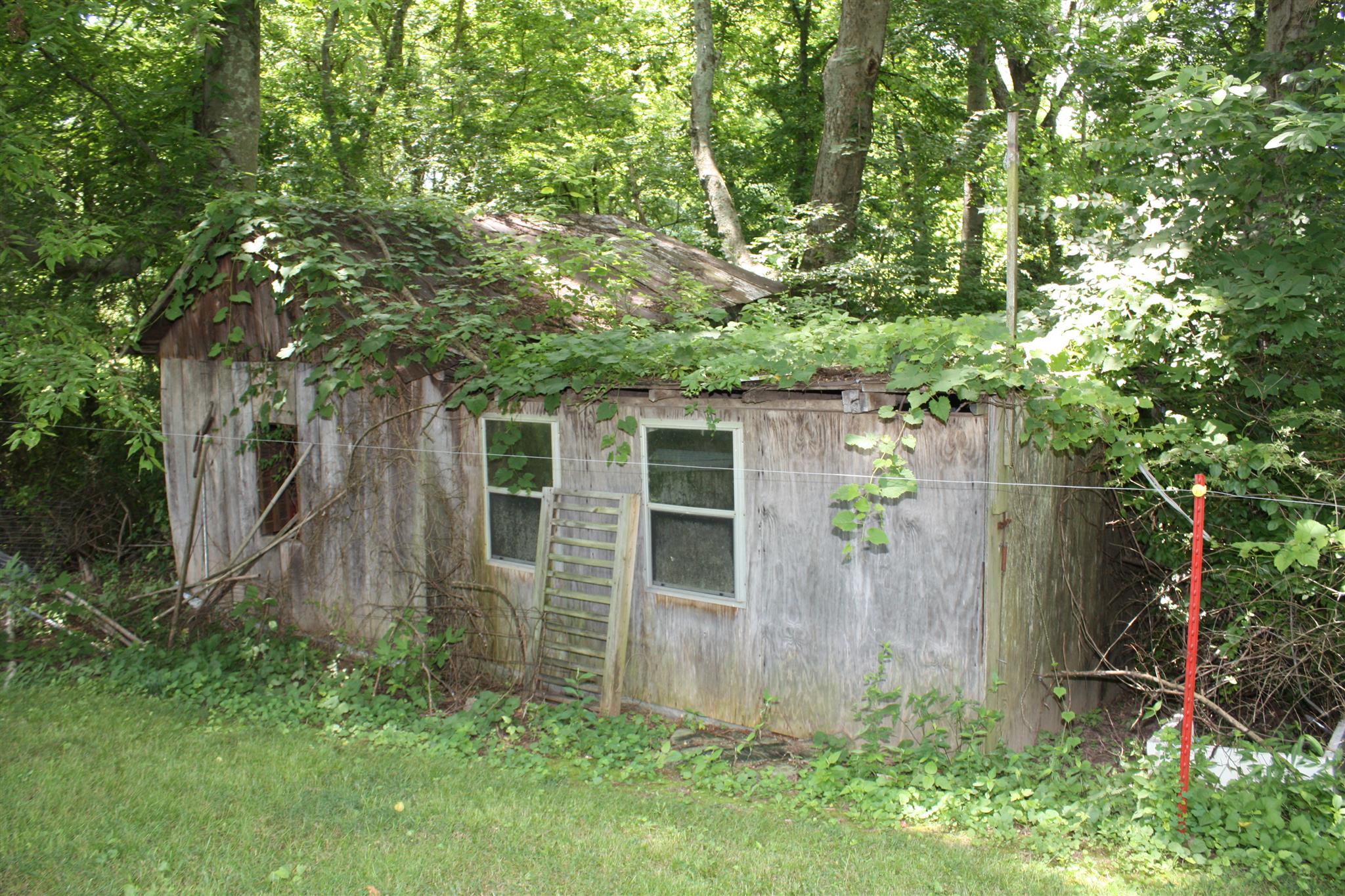 2734 Battle Creek Road Springfield, TN 37172 - Photo 7 of 8 a view of back yard of the house and trees