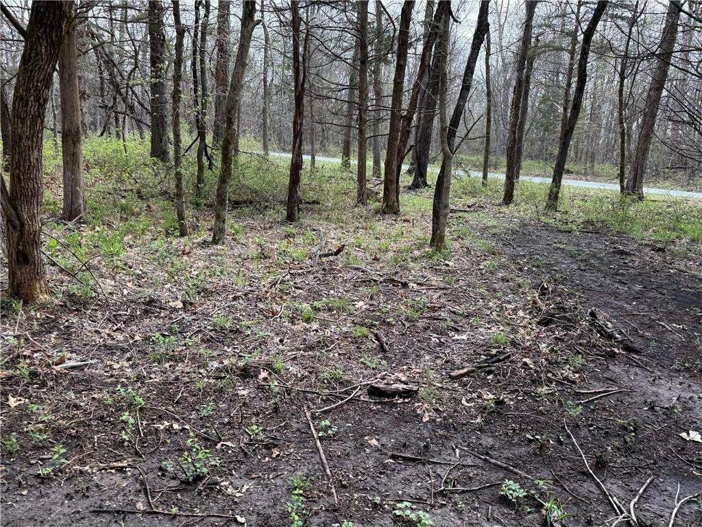 991 Southeast 976 Road Deepwater, MO 64740 - Photo 48 of 79
