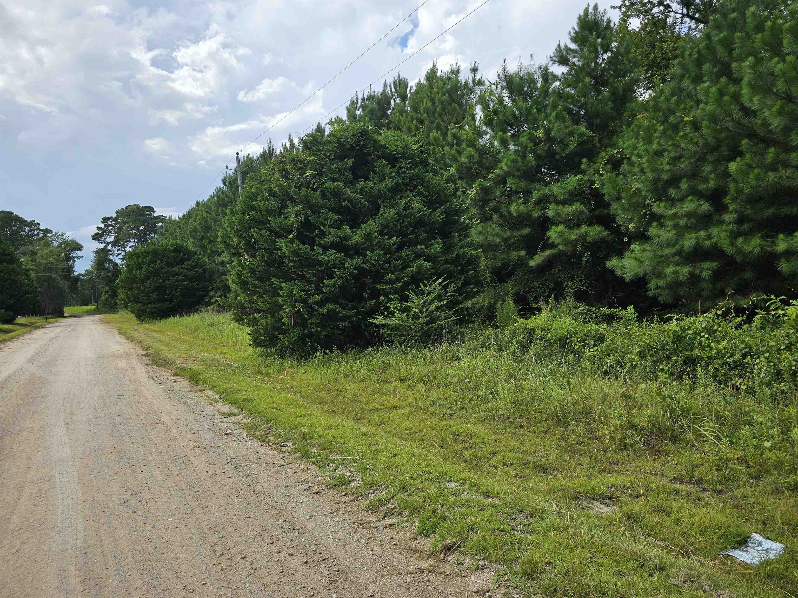 7-8 Powell Lane Loris, SC 29569 - Photo 1 of 4 View of dirt / gravel road featuring a view of trees