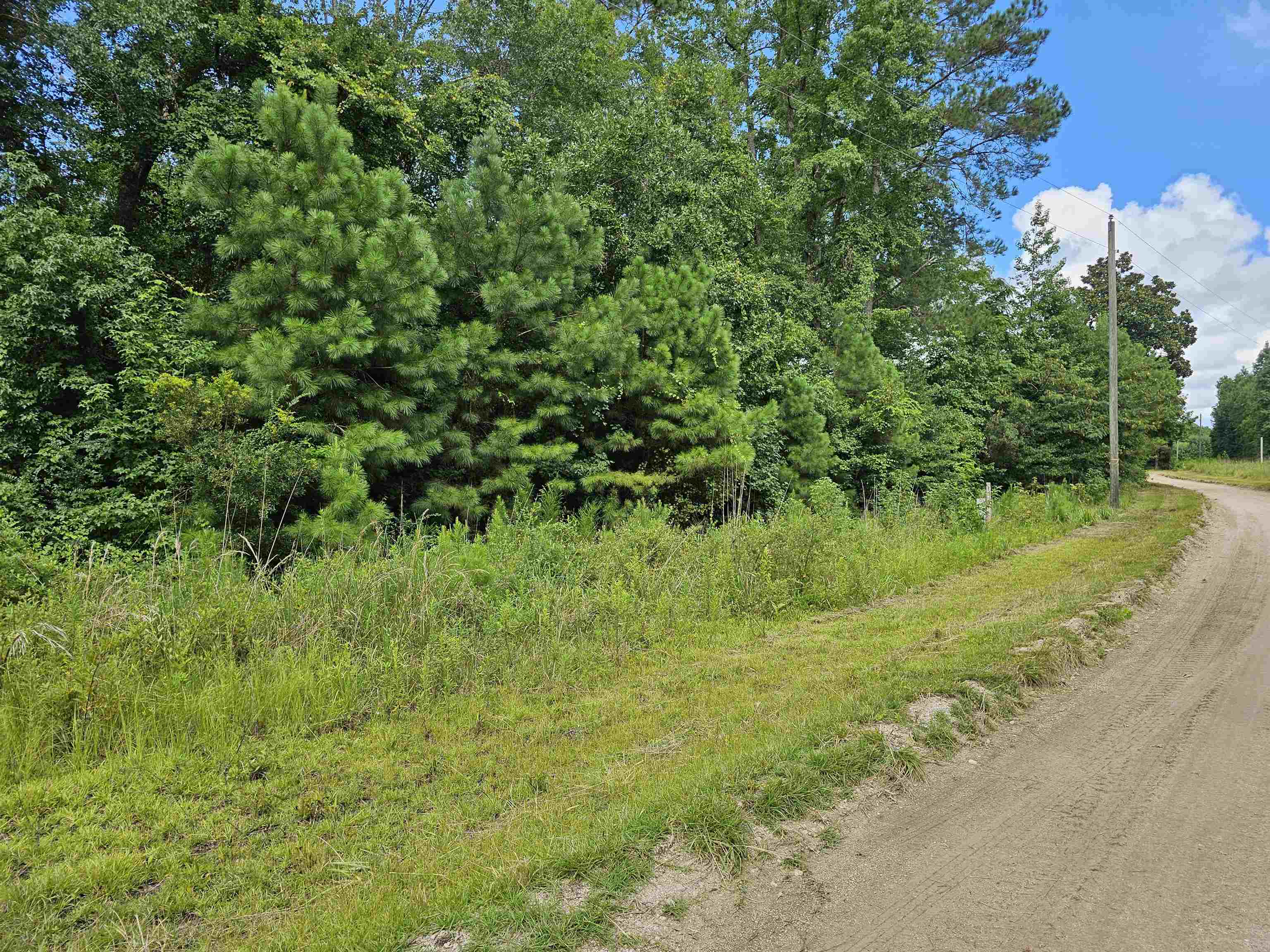 7-8 Powell Lane Loris, SC 29569 - Photo 4 of 4 View of dirt / gravel road