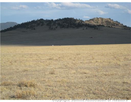5062 Rio Blanco Road Hartsel, CO 80449 - Photo 3 of 5