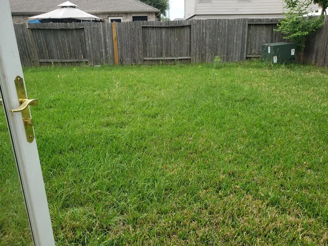 a view of a backyard of the house