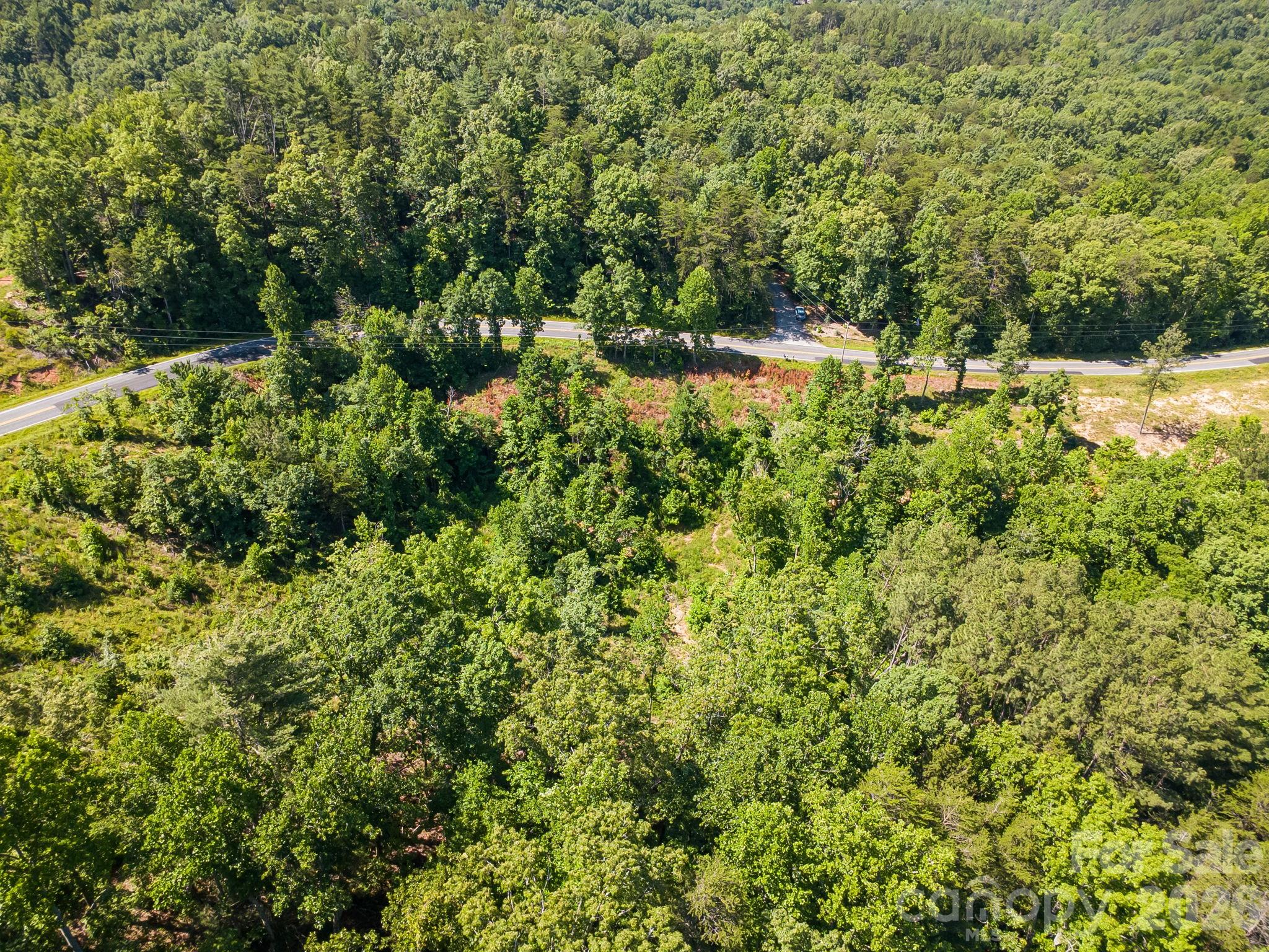 Lot #2 Clark Road Rutherfordton, NC 28139 - Photo 32 of 36