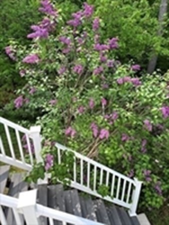 36 Brooks Street Upton, MA 01568 - Photo 25 of 29