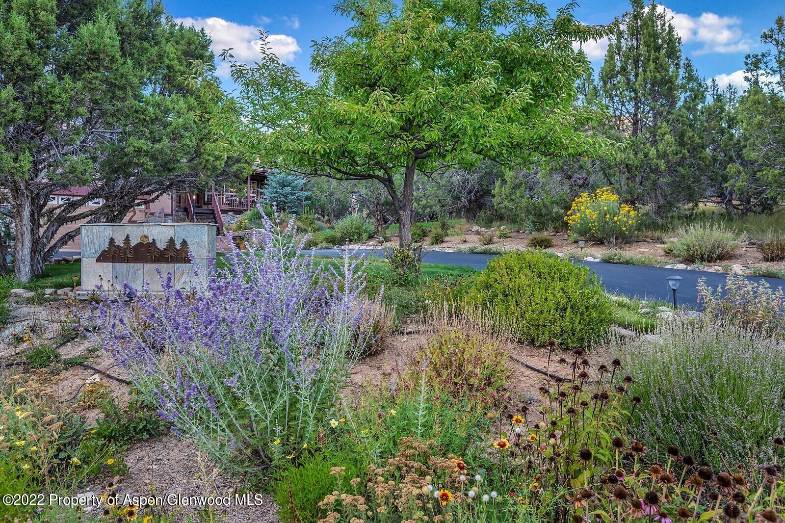 274 Cedar Way New Castle, CO 81647 - Photo 53 of 56 Front garden