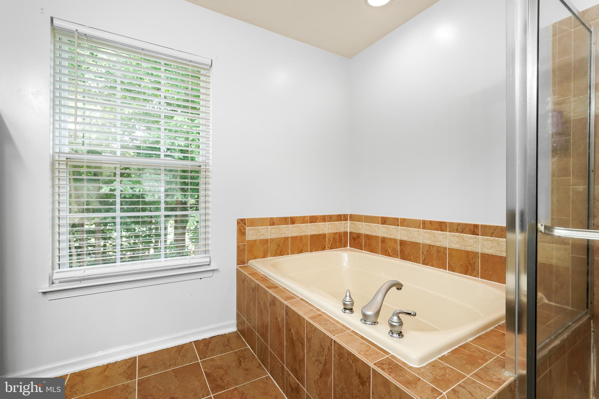 143 Patton Way Elkton, MD 21921 - Photo 34 of 50 Owners suite private bath