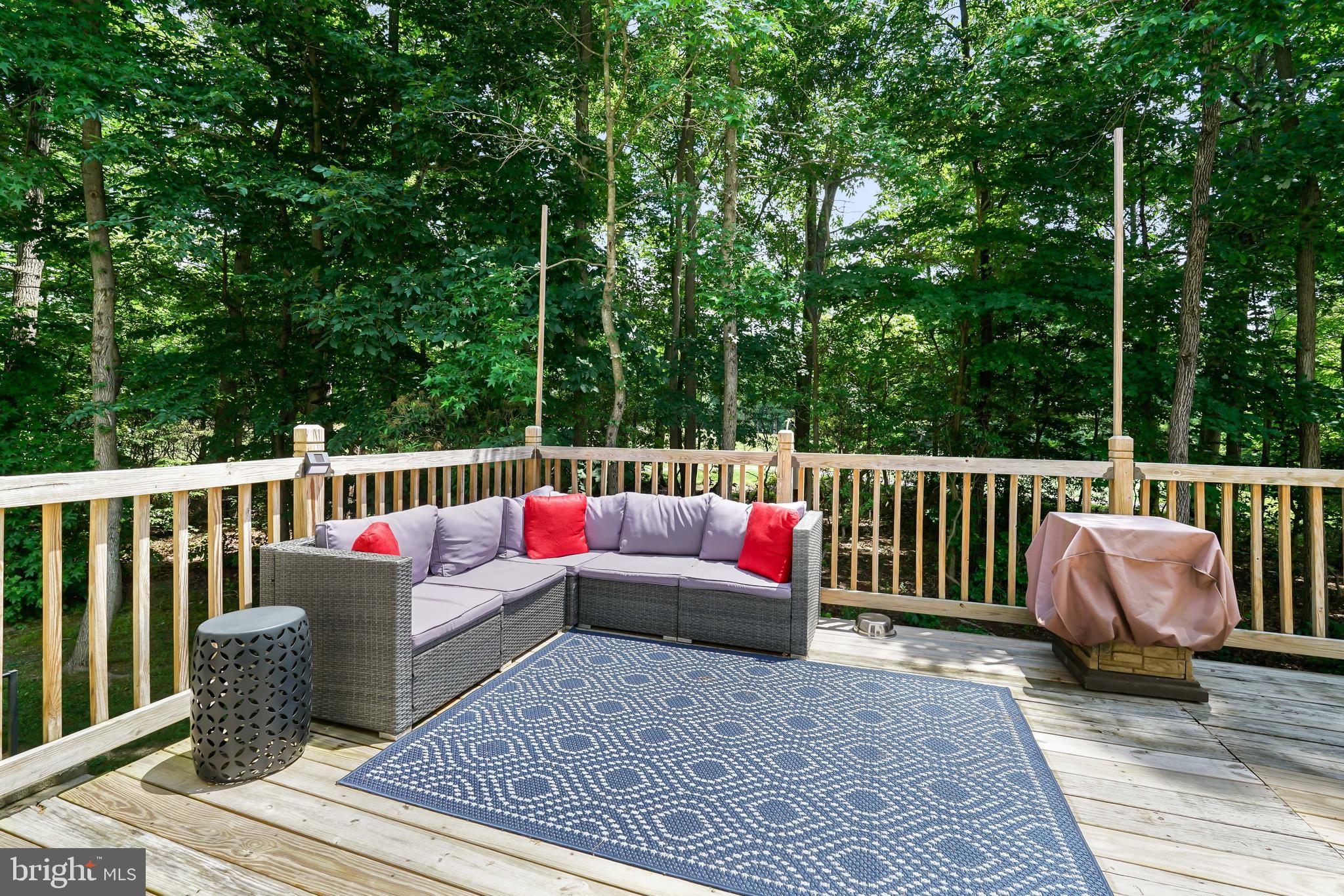 143 Patton Way Elkton, MD 21921 - Photo 38 of 50 Deck