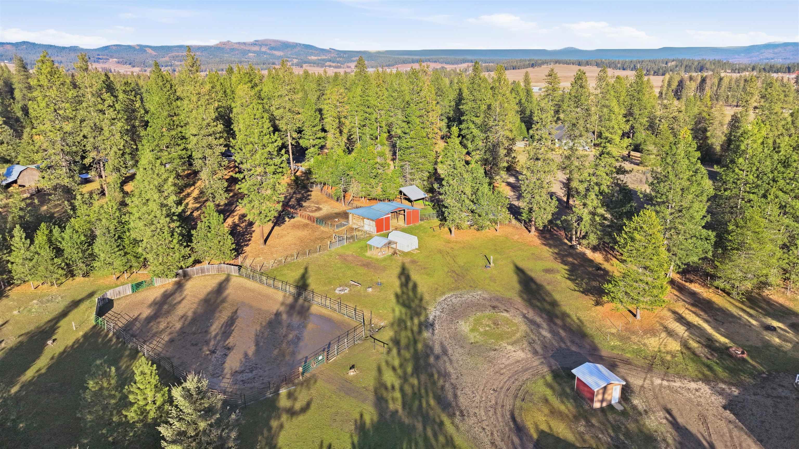 6615 East Valley Lane Elk, WA 99009 - Photo 6 of 49