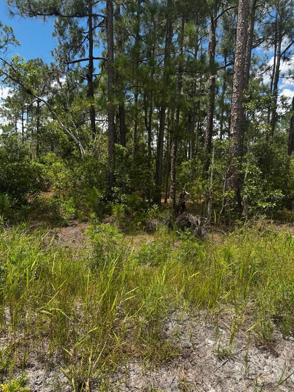 Mcclellan Road, Unit 48 Frostproof, FL 33843 - Photo 2 of 6 Gallery Image 2