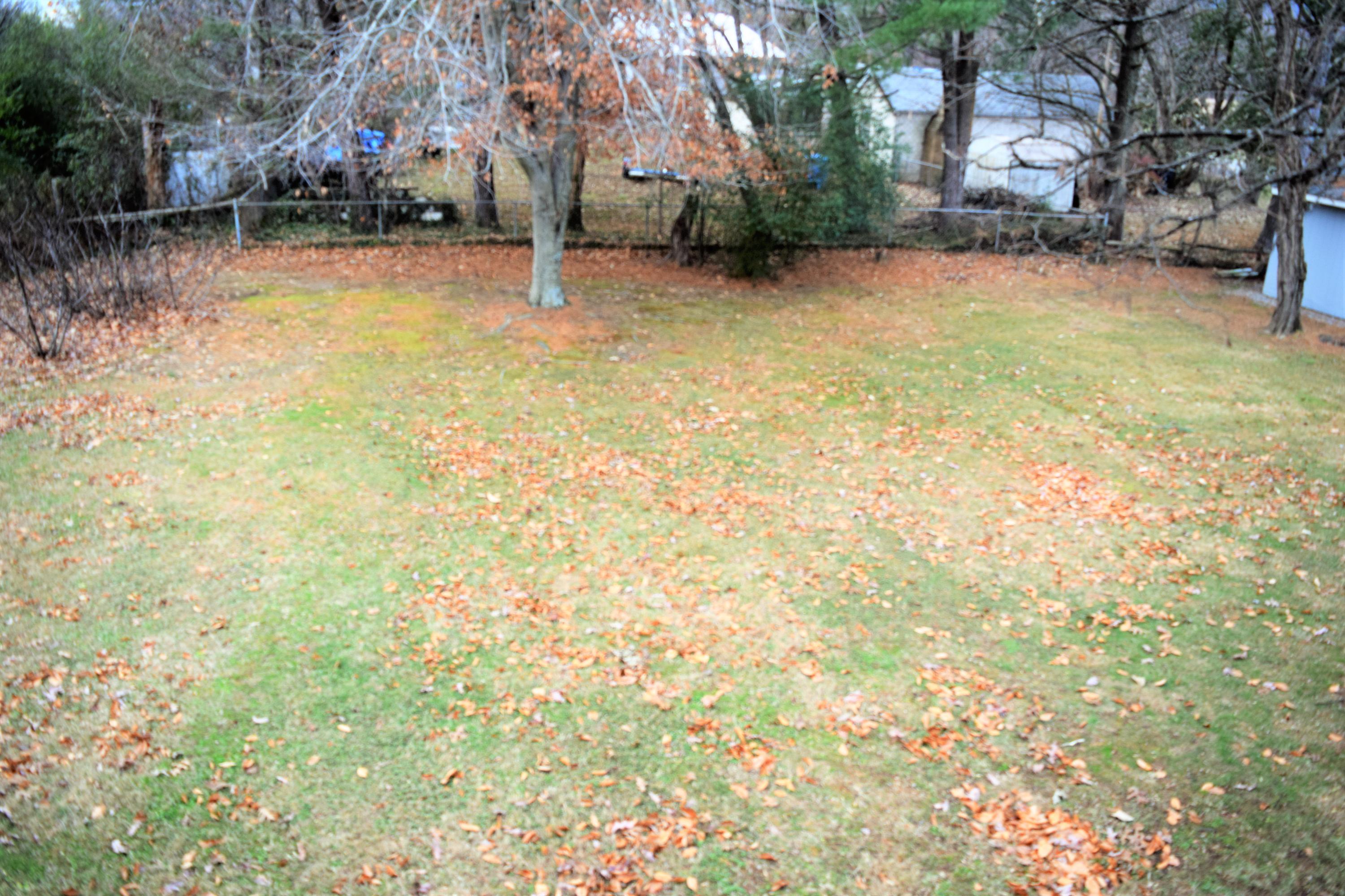 Barnett Fenced Back Yard1