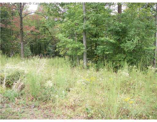 0 Lindsey Place Ripley, WV 25271 - Photo 2 of 3 Land/Lot.