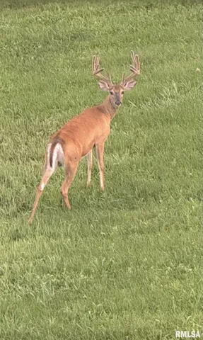 $875,000 | 10703 52nd Street West, Milan, IL 61264