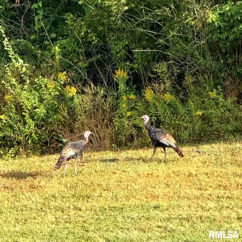 $875,000 | 10703 52nd Street West, Milan, IL 61264