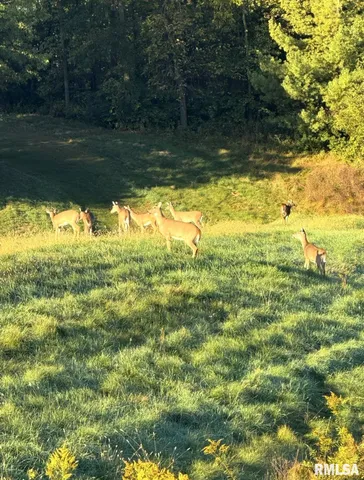 $875,000 | 10703 52nd Street West, Milan, IL 61264