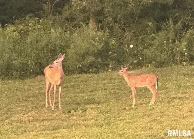 $875,000 | 10703 52nd Street West, Milan, IL 61264