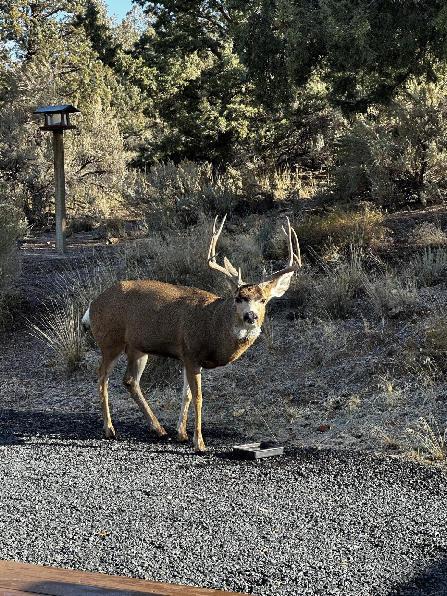 3082 Northeast Yellowpine Road Prineville, OR 97754 - Photo 37 of 50 IMG_1731