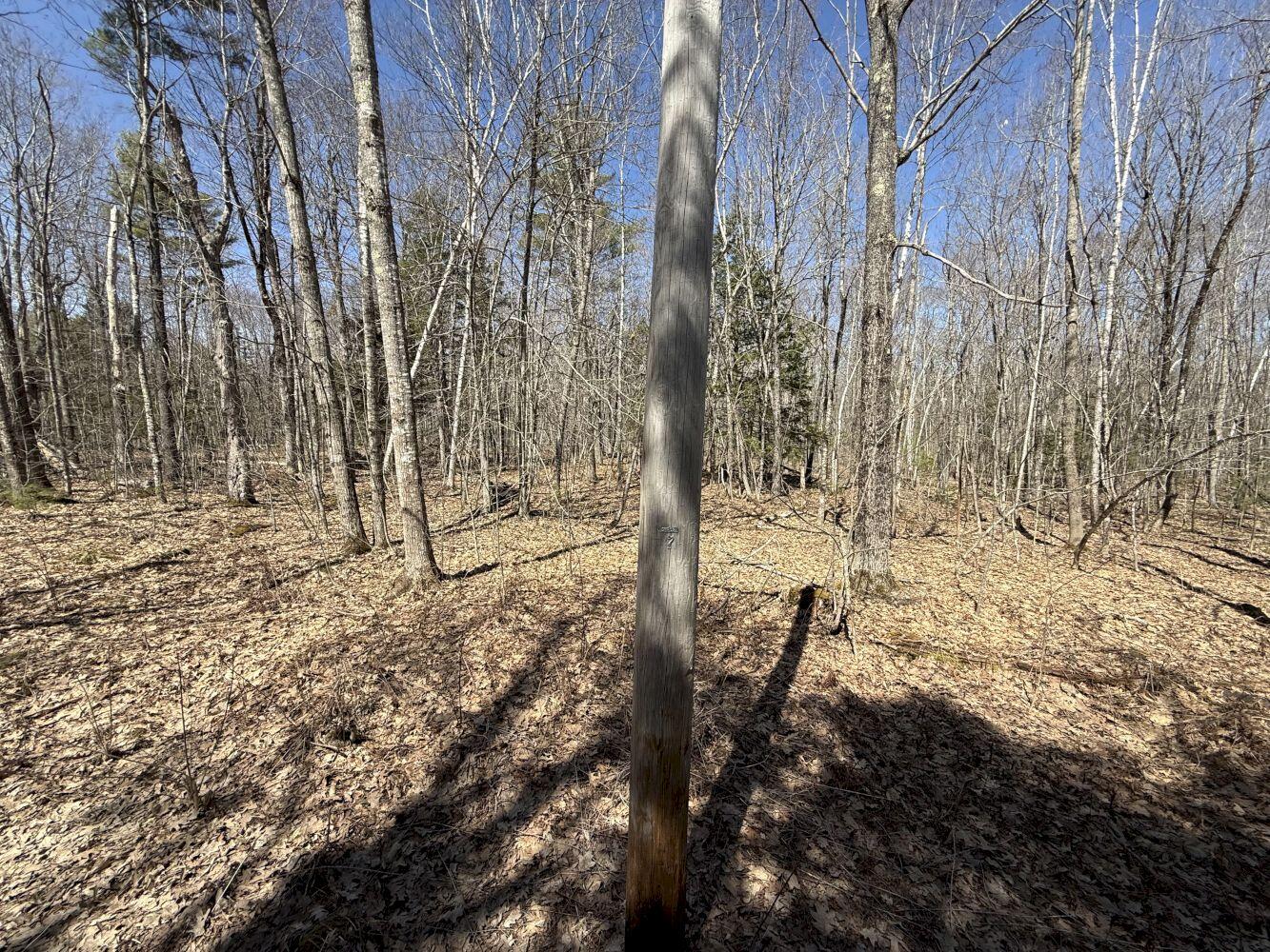 M14-l39 Sandy Point Road Vassalboro, ME 04989 - Photo 4 of 6