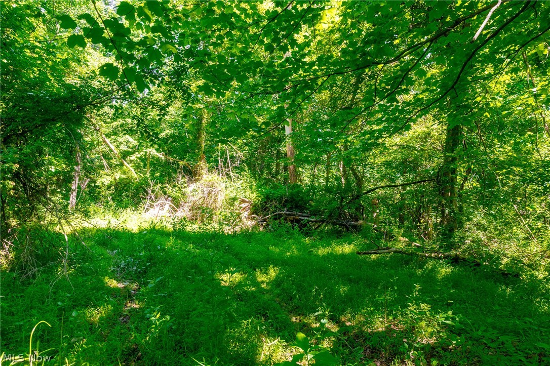 5568 Schoolhouse Road, Unit 8 Dresden, OH 43821 - Photo 7 of 18