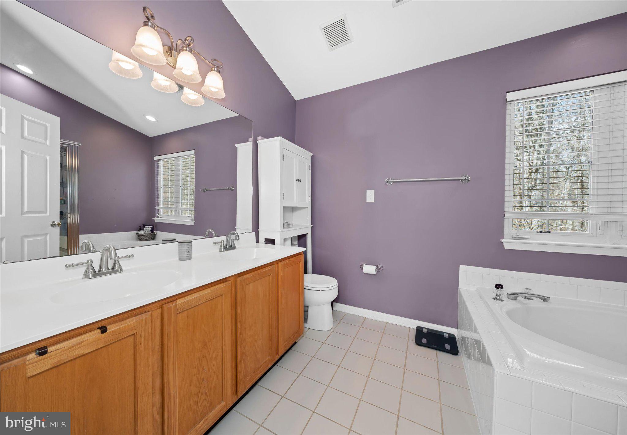 457 Preakness Run Newark, DE 19702 - Photo 50 of 55 a spacious bathroom with a tub sink a mirror and a shower