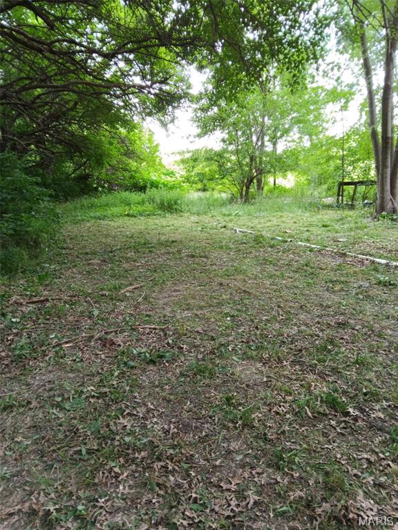 16678 Conrad Road Brighton, IL 62012 - Photo 7 of 39