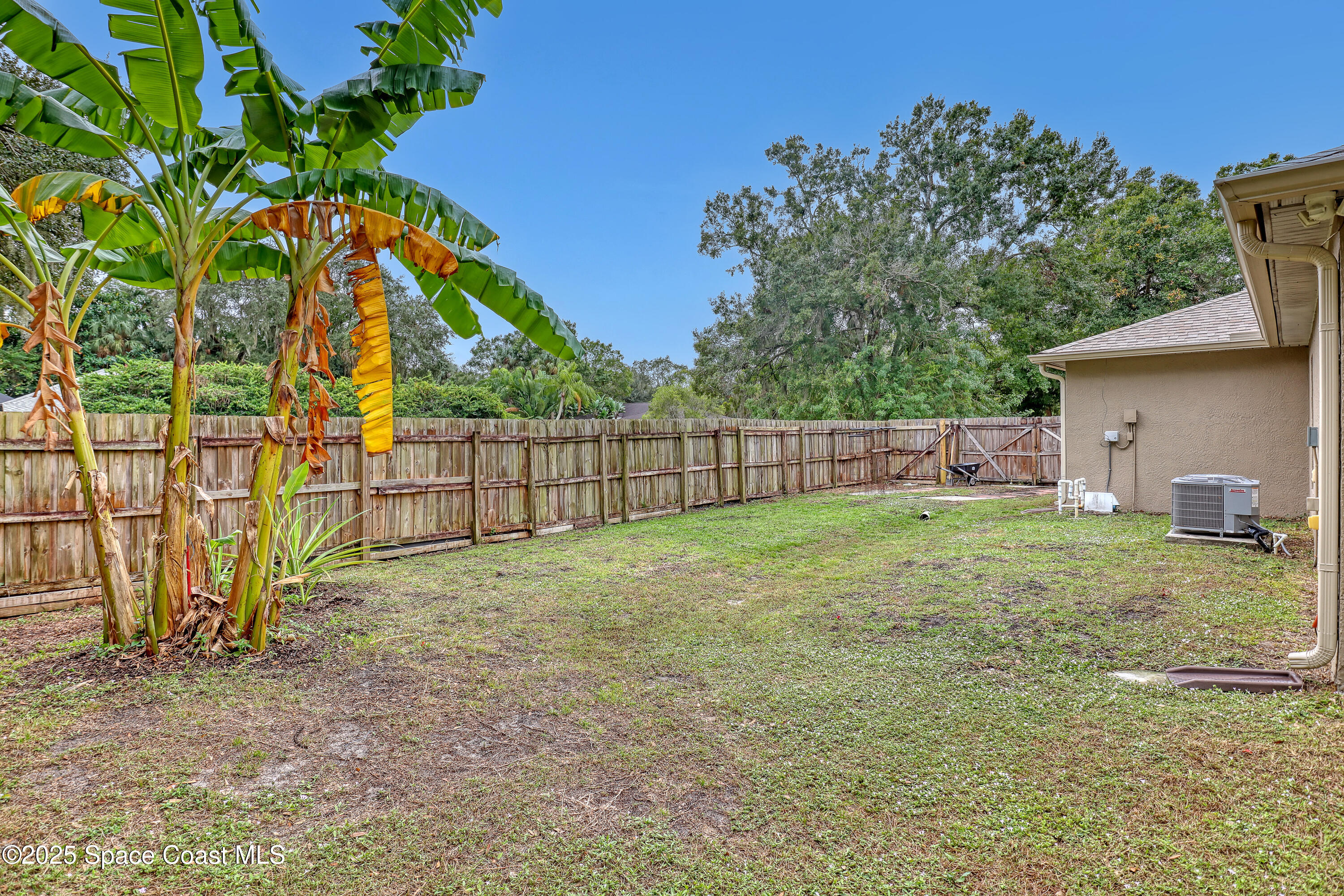 1081 Meadowbrook Road Northeast Palm Bay, FL 32905 - Photo 35 of 38 Backyard with banana tree