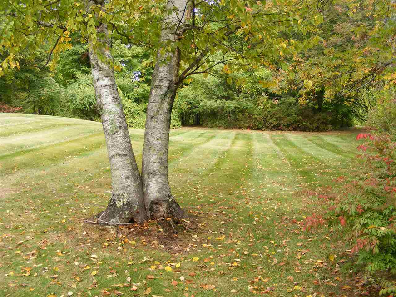 46 Maple Avenue Atkinson, NH 03811 - Photo 3 of 33
