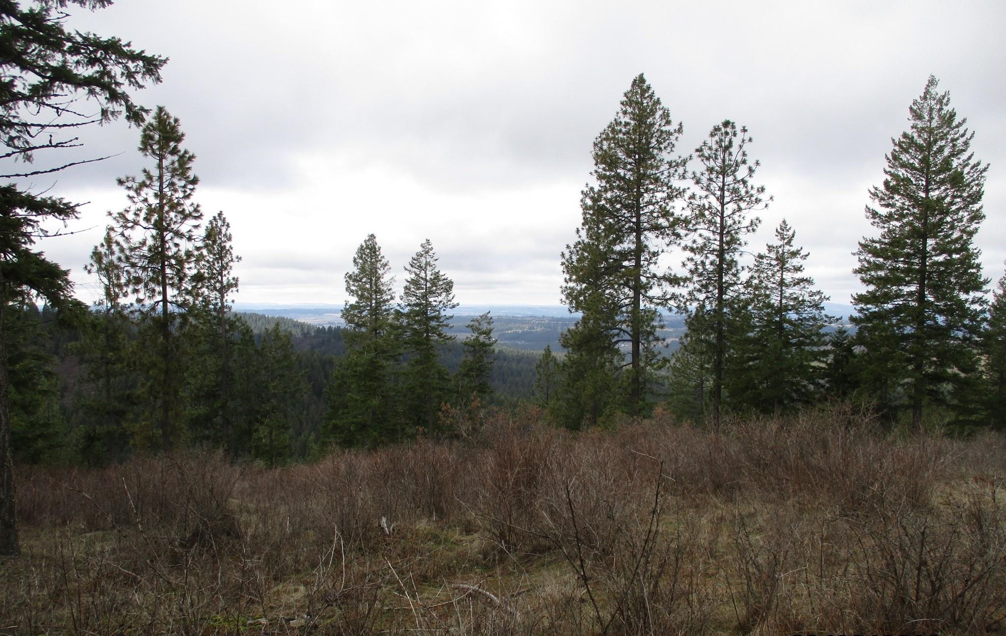 18-xxx East Miner Road Mead, WA 99021 - Photo 17 of 40