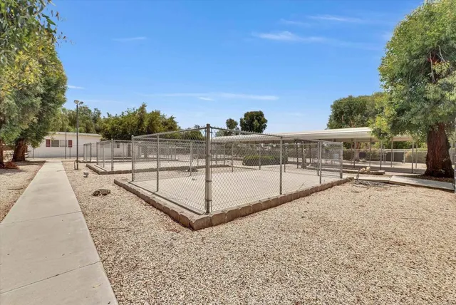 a view of a backyard with a garden and entertaining space