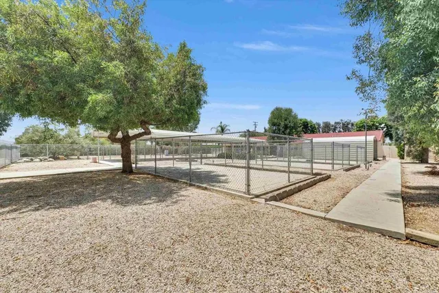 a view of backyard of the house