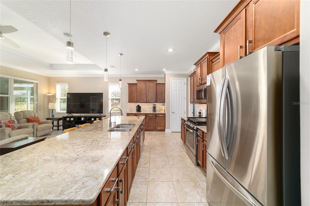 10009 Southwest 88th Loop Ocala, FL 34481 - Photo 28 of 64