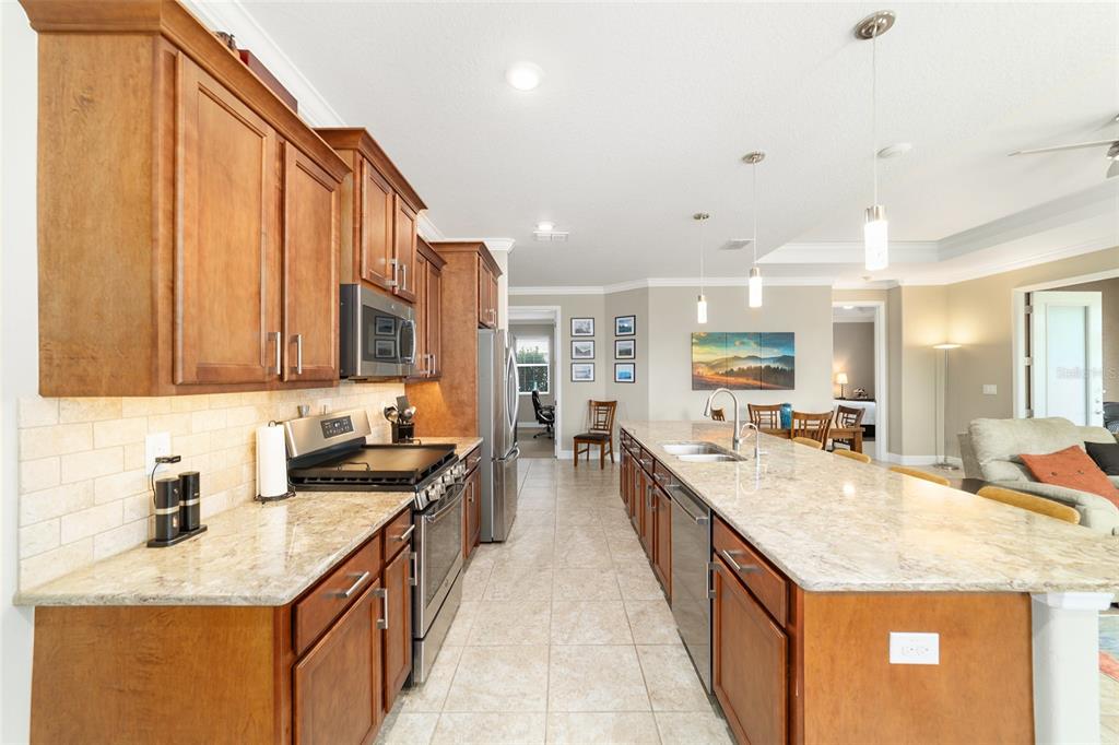 10009 Southwest 88th Loop Ocala, FL 34481 - Photo 31 of 64