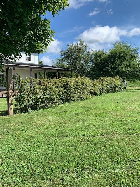 686 Basham Road Altamont, TN 37301 - Photo 19 of 87 IMG_4474 (2)