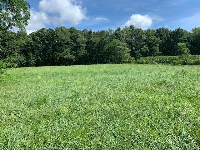 686 Basham Road Altamont, TN 37301 - Photo 34 of 87 IMG_4489 (2)