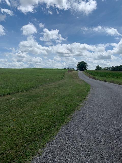 686 Basham Road Altamont, TN 37301 - Photo 39 of 87 IMG_4504 (1)