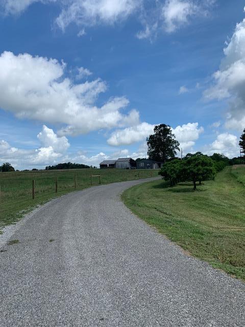 686 Basham Road Altamont, TN 37301 - Photo 44 of 87 IMG_4507 (1)