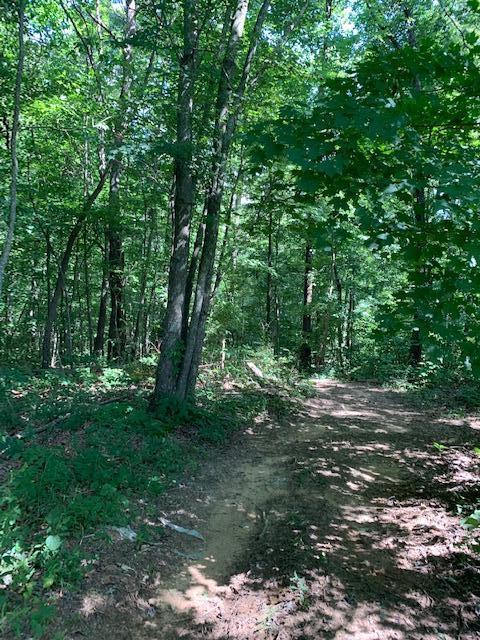 686 Basham Road Altamont, TN 37301 - Photo 52 of 87 IMG_4490 (1)