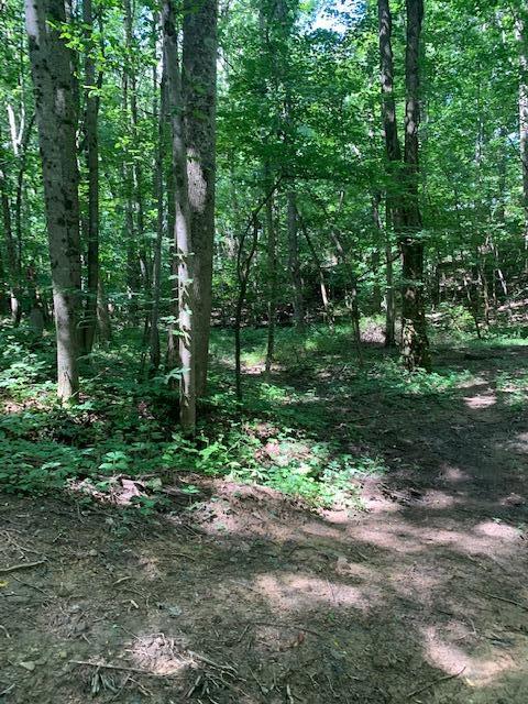 686 Basham Road Altamont, TN 37301 - Photo 54 of 87 IMG_4492 (2)