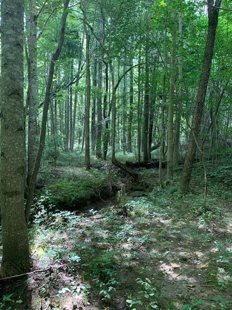 686 Basham Road Altamont, TN 37301 - Photo 55 of 87 IMG_4493 (1)