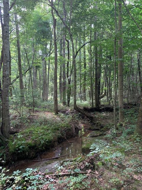 686 Basham Road Altamont, TN 37301 - Photo 56 of 87 IMG_4494 (1)