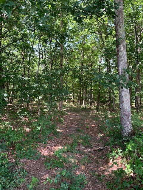 686 Basham Road Altamont, TN 37301 - Photo 63 of 87 IMG_4529