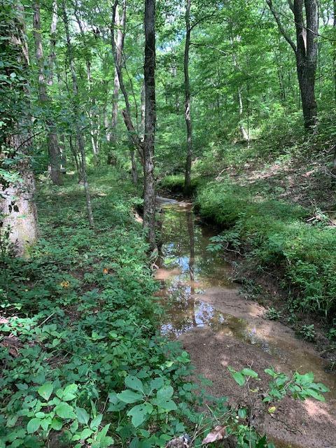 686 Basham Road Altamont, TN 37301 - Photo 64 of 87 IMG_4498 (1)