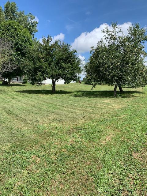 686 Basham Road Altamont, TN 37301 - Photo 69 of 87 IMG_4513